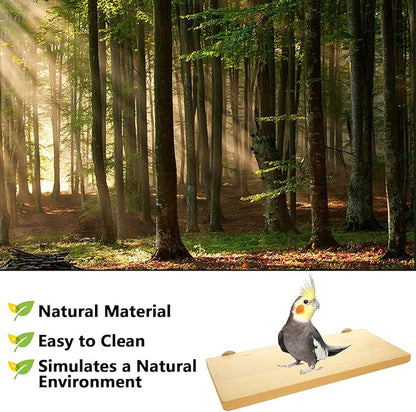 4 Pack 5 x 12 Inches Bird Perches - Natural Wooden Flat Bird Perch - Rectangle Bird Perch Stand Platform for Parrot, Budgies, Parakeet, Cockatiels, Conure, Lovebirds