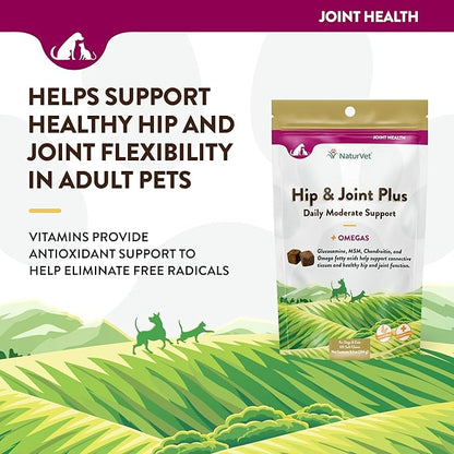 NaturVet Hip & Joint Plus Soft Chew (Bag) 120 ct