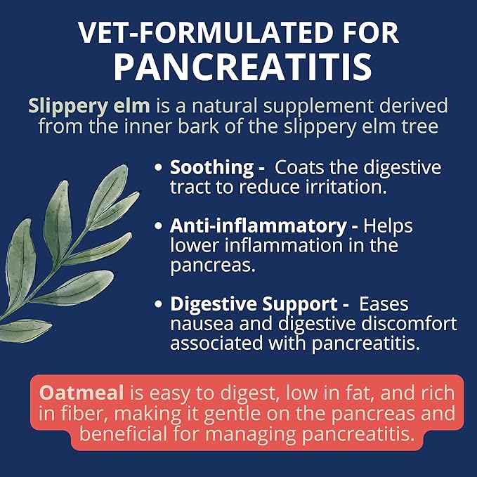 Under the Weather Bland Diet for Dogs | Easy to Digest Stomach Support for Sick Dogs | Contains Electrolytes, All Natural | 6 Pack - Turkey, Oatmeal, Sweet Potato & Slippery Elm for Dogs - 6oz