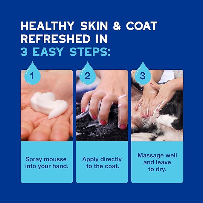 DOUXO® Skin & Coat SPA - Ultra-Safe Quick Refresh Leave-on Mousse for Dogs, 10 fl oz, Safely Cleans and Refreshes The Coat, Leaves The Coat Soft, Radiant and Smelling Great, Skin-Friendly Formula