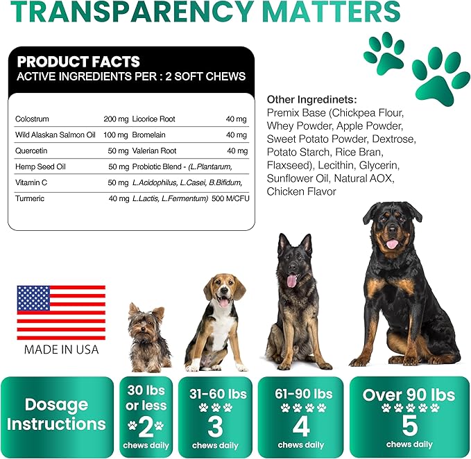 Dog Allergy Relief Chews - Dog Itching Skin Relief Treatment - 170 Chews - Anti-Itch, Hot Spots, Paw Licking - Immune Health - Omega 3 Fish Oil - Dry Itchy Skin and Coat Supplement - Made in USA