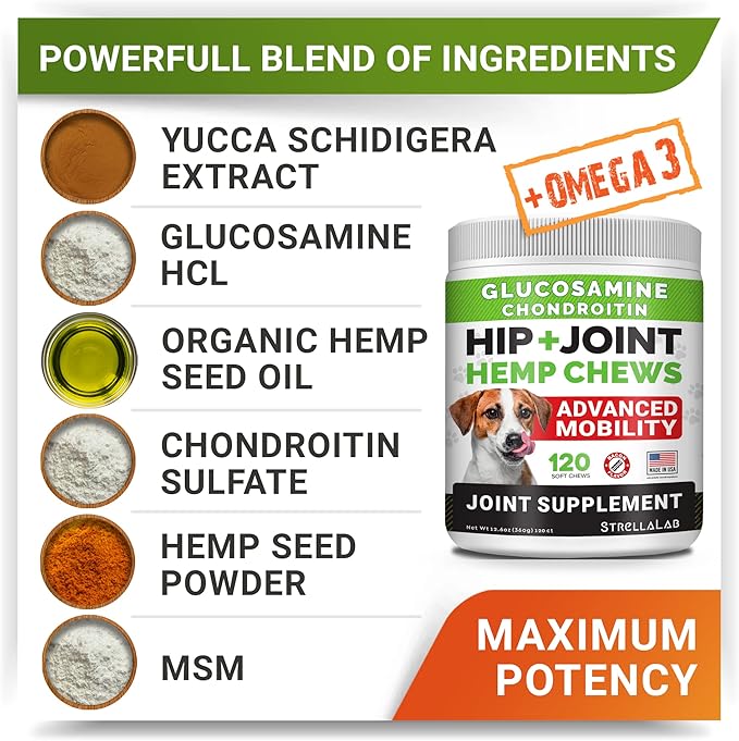 Large Breed Hemp + Glucosamine Dog Joint Supplement - Hemp Chews for Dogs Hip Joint Pain Relief - Omega 3, Chondroitin, MSM - Advanced Mobility Hemp Oil Treats for Large Dogs - Made in USA - 240 Ct