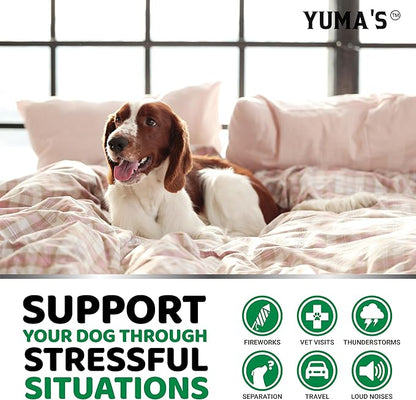 YUMA'S Advanced Calming Chews for Dogs - Hemp Dog Calming Chews - 70 Treats - Anxiety Relief Treats - Hemp Oil - Separation Aid, Stress, Hip and Joint Supplement for Canine Health Support