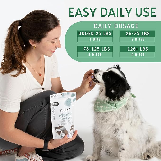 Mighty Mushroom Supplement for Dogs & Cats | for Immune System, Lumps & Bumps, Gut Health & Skin Support | Mushroom Blend with Turkey Tail, Reishi, Chaga, Maitake & Shiitake | 60 Bites