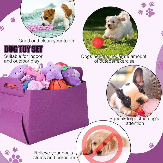 Abbylike 50 Pcs Puppy Supplies Starter Kit for Small Dogs Puppy Essentials Includes Leash, Bowls, Teeth Brushes, Water Bottle, and More Accessories for Dogs Christmas Welcome Gift(Purple)