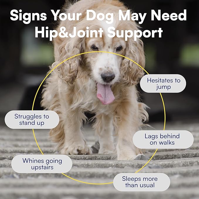 Advanced Hip & Joint Supplement for Dogs - 90 Soft Chews with Glucosamine, MSM, Chondroitin & Multivitamins - Helps Mobility, Flexibility & Arthritis Relief - Made with Pasture-Raised Chicken