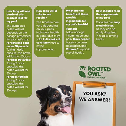 Rooted Owl Turmeric - Turmeric Supplement for Dogs and Cats - with Curcumin, Piperine and Vitamin C for Anti-Inflammatory Relief - 60/ct