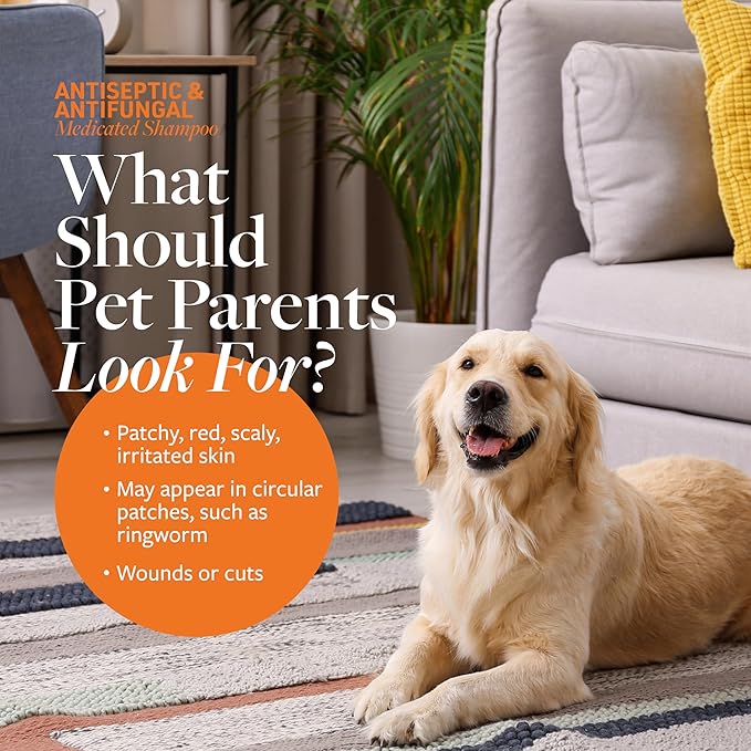 Veterinary Formula Clinical Care Antiparasitic & Antiseborrheic Medicated Dog Shampoo & Clinical Care Antiseptic and Antifungal Medicated Shampoo for Dogs & Cats