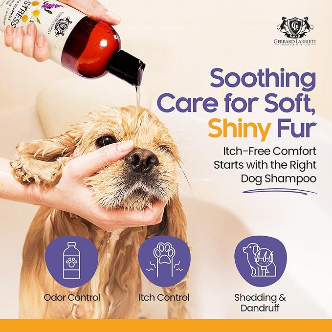 Dog Shampoo and Conditioner De-Stress Lavender & Chamomile 16 Fl Oz Dog Shampoo Itchy Skin Relief Hypoallergenic Aromatherapy Dog Shampoo for Smelly Dogs with Aloe Vera & Oatmeal by Gerrard Larriett