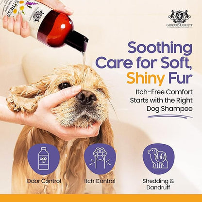 Dog Shampoo and Conditioner De-Stress Lavender & Chamomile 16 Fl Oz Dog Shampoo Itchy Skin Relief Hypoallergenic Aromatherapy Dog Shampoo for Smelly Dogs with Aloe Vera & Oatmeal by Gerrard Larriett