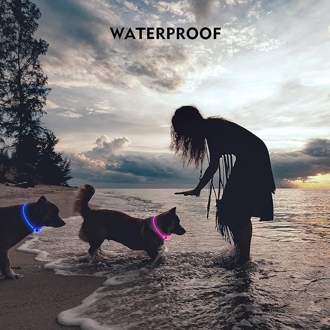 LED Dog Collar, Rechargeable Light Up Dog Collars,IP67 Waterproof Dog Lights for Night Walkingï¼_djustable, Reusable Safety Necklace for Small Medium Large Dogs (Pink)