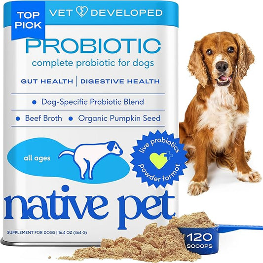 Native Pet Probiotics for Dogs - Dog Probiotics Powder for Digestive Health, Gut Support, & Immune Boost  Vet-Formulated Powder for Maximum Potency with Digestive Enzymes & Prebiotics - 120 Scoops