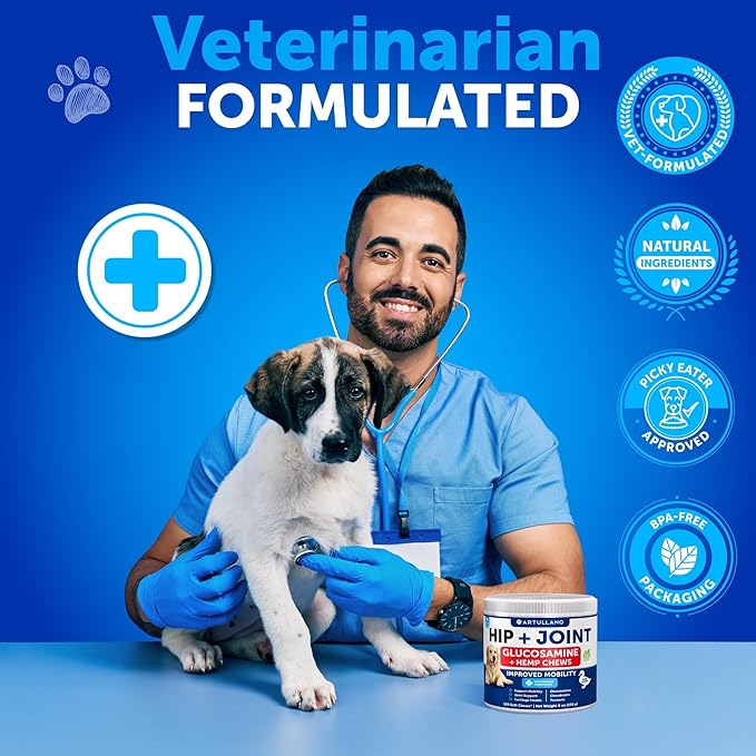 (2 Pack) Hemp Hip and Joint Supplement for Dogs - Glucosamine for Dogs Joint Pain Relief - Chews with Chondroitin, MSM, Hemp Oil - Mobility Support - Canine Cartilage Health - Made in USA