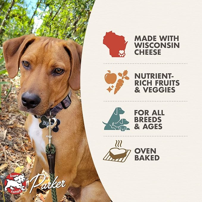 Fromm Four-Star Parmesan Cheese Grain-Free Dog Treats,8-Ounce Bag