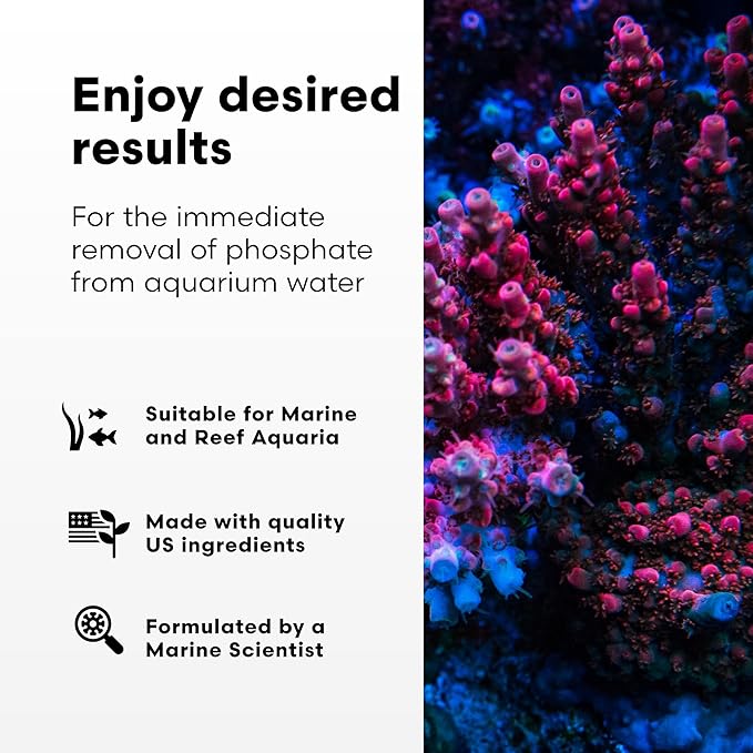Brightwell Aquatics Phosphat-E Liquid Phosphate Remover for Marine Fish and Reef Aquariums - Aquarium Water Treatments, 4.2 fl oz