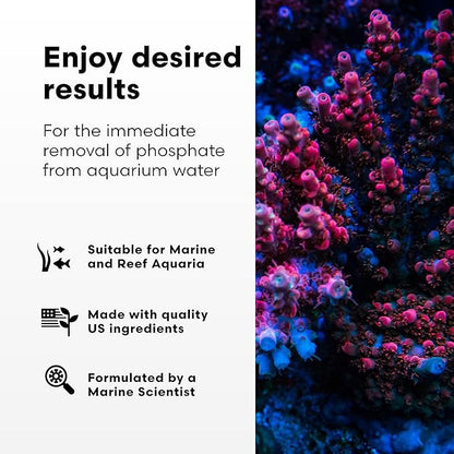 Brightwell Aquatics Phosphat-E Liquid Phosphate Remover for Marine Fish and Reef Aquariums - Aquarium Water Treatments, 4.2 fl oz
