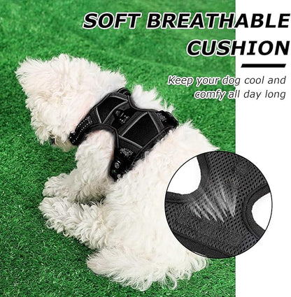 Dog Harness Small Sized Dog, No Pull Pet Harness with 2 Leash Clips, Adjustable Soft Padded Dog Vest Harnesses, Reflective No-Choke Pet Oxford Vest