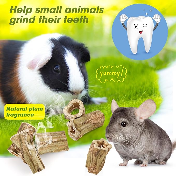 Abizoo Natural Bunny Chew Toys,6 Pcs Organic Papaya Wood Sticks Chew Toys for Rabbit,Hamster,Guinea Pig,Chinchilla,Gerbil,Rat Healthy Chews Teeth Grinding Treats, Squirrel Molar Snack