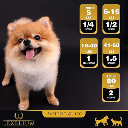 Joint Supplement for Dogs & Cats - Chondroitin Sulfate, Turmeric, MSM, Glucosamine & Calcium for Healthy Bones & Optimal Skeletal Function - Optimal Joint Care to Help w/Arthritis- 200g