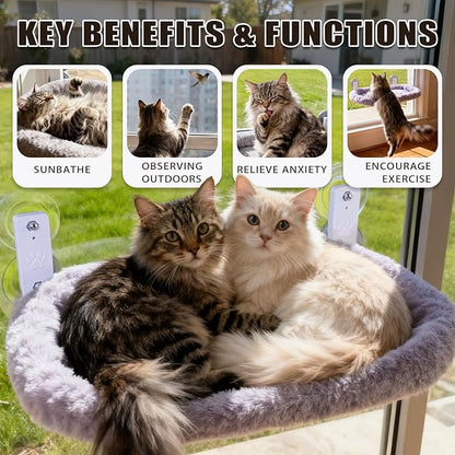 Cat Window Perch with Strong Suction Cups, 55lbs Hold Weight Tested, Foldable Cat Window Hammock Bed with Breathable Mesh, All-Season Lounger for Medium Small Cats to Bird Watch & Sunbathe (Grey, XL)