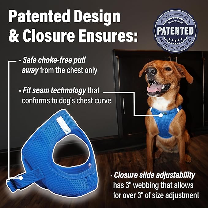 Doggie Design Dog Harness - No Choke Dog Harness, Dog Vest, Mesh Polyester, Pet Harness, Simple Step in and Go Design, Harness for Dog - Cobalt Blue, 2XL