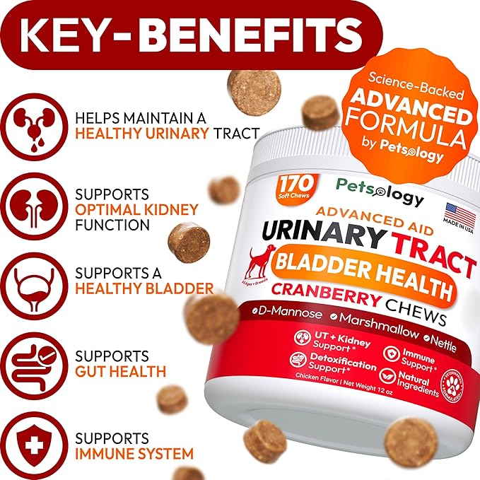 Dog UTI Treatment - 170 Cranberry Chews for Dogs - Urinary Tract Infection, Bladder & Kidney Health Multivitamin - Cranberry Supplement for Dogs with D-Mannose - Dog Vitamins and Supplements