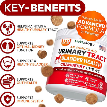 Dog UTI Treatment - 170 Cranberry Chews for Dogs - Urinary Tract Infection, Bladder & Kidney Health Multivitamin - Cranberry Supplement for Dogs with D-Mannose - Dog Vitamins and Supplements