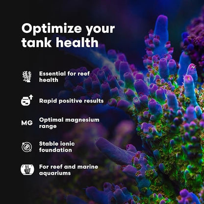 Brightwell Aquatics Magnesion Liquid Salt Water Conditioner - Concentrated Magnesium Supplement for Reef and Marine Aquariums, 33.8 fl oz