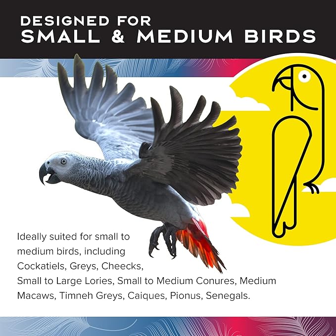 Featherland Paradise Bird Cage Toy, Bird Toys for Parrots, Parakeets, Small and Medium Birds