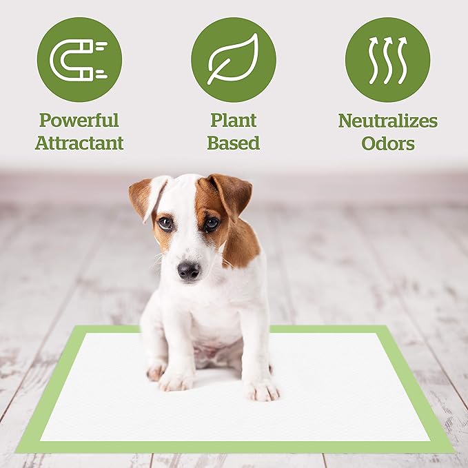 Pogi's Pads n' Wipes Bundle - 50 Large Doggy Training Pads with Sticky Tabs (24 x 24 inches) and 100 Plant-Based, Hypoallergenic Pet Wipes for Dogs