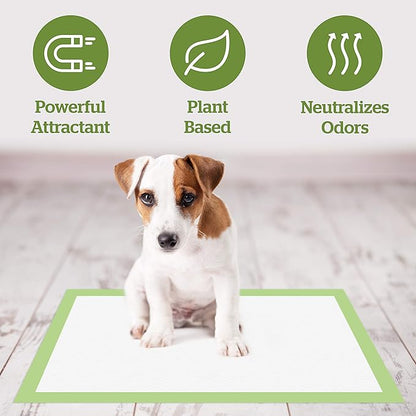 Pogi's Pads n' Wipes Bundle - 20 Medium Sized Dog Training Pads with Sticky Tabs (18 x 24 inches) and 100 Plant-Based, Hypoallergenic Pet Wipes for Dogs