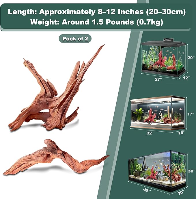 Natural Driftwood for Aquarium Fish Tank Decor,Assorted Trunk Driftwood Branch for Reptile Decor (ZYM+Strips(8-12 Inch)-2 PCS)