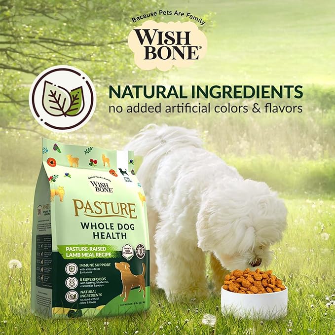 Wishbone Pasture New Zealand Lamb Dry Dog Food, Gluten-Free, Grain-Free Formula for Overall Pet Health - 4 lb