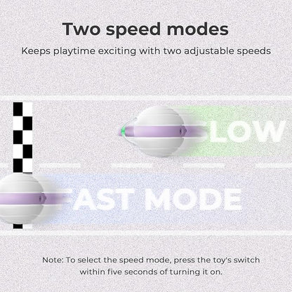 Cheerble Interactive Cat Toy for Indoor Cats, Wicked Snail, [2024 Upgraded] Kitten Toys, Automatic Cat Toys with LED Lights, DC Rechargeable Moving Toy, Smart Sensing Electric Catnip Toy (White)