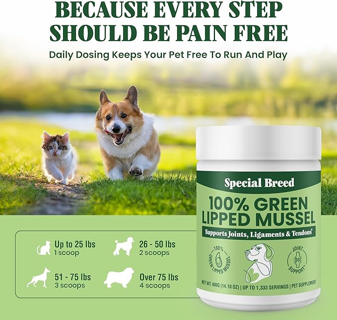 Special Breed Green Lipped Mussel Powder for Dogs & Cats - 100% New Zealand Green Lipped Mussels - Natural Hip & Joint Supplement for Joints, Tendons, Ligaments, Muscles - 400 Grams - 1,333 Servings