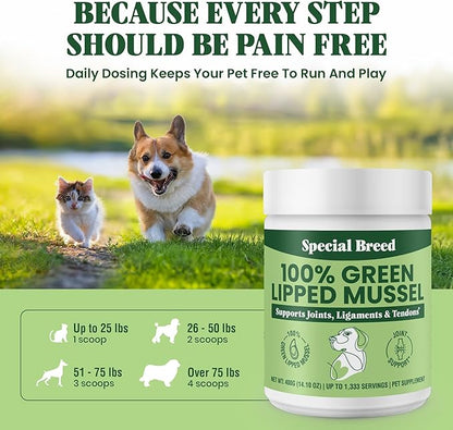 Special Breed Green Lipped Mussel Powder for Dogs & Cats - 100% New Zealand Green Lipped Mussels - Natural Hip & Joint Supplement for Joints, Tendons, Ligaments, Muscles - 400 Grams - 1,333 Servings