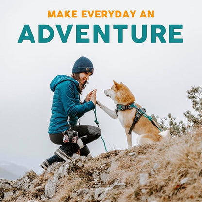 Embark Urban Dog Collar  Dog Collar Stylish & Durable Nylon Dog Collar for Large Dogs, Small Dogs & Medium Dogs.Comfortable Pet Collar Strong Buckles for Any Size Breed (Lunar, Large)