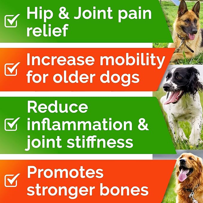 Hemp Chews for Dogs - Glucosamine Chondroitin for Dogs Joint Pain Relief with Hemp Oil, Hip & Joint Supplement Dogs, MSM Turmeric for Dogs Mobility, Dog Joint Supplement, Hemp Dog Treats Joints Health