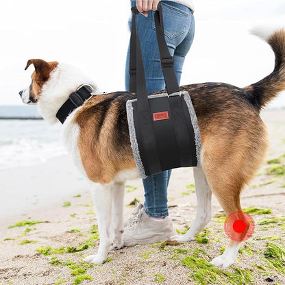 Adjustable Dog Lift Harness, Dog Sling for Large Dogs Hind Leg Support, Soft Lift Support Helps Senior, Injured, Disabled and After ACL Surgery Dogs-Black & Grey (X-Large)