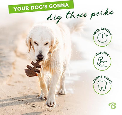 Benebone Tiny 2-Pack Fishbone Durable Dog Chew Toys, Real Fish Flavor, Made in USA