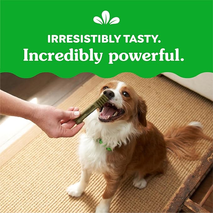 Greenies Original Petite Dental Dog Treats, 6 oz. Pack (10 Treats)