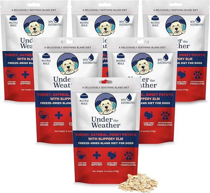 Under the Weather Bland Diet for Dogs | Easy to Digest Stomach Support for Sick Dogs | Contains Electrolytes, All Natural | 6 Pack - Turkey, Oatmeal, Sweet Potato & Slippery Elm for Dogs - 6oz