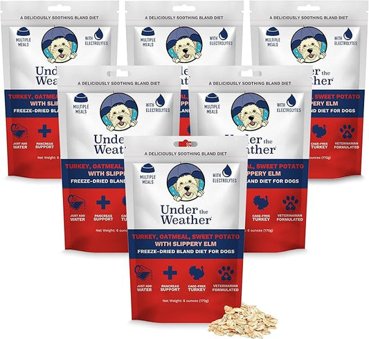 Under the Weather Bland Diet for Dogs | Easy to Digest Stomach Support for Sick Dogs | Contains Electrolytes, All Natural | 6 Pack - Turkey, Oatmeal, Sweet Potato & Slippery Elm for Dogs - 6oz