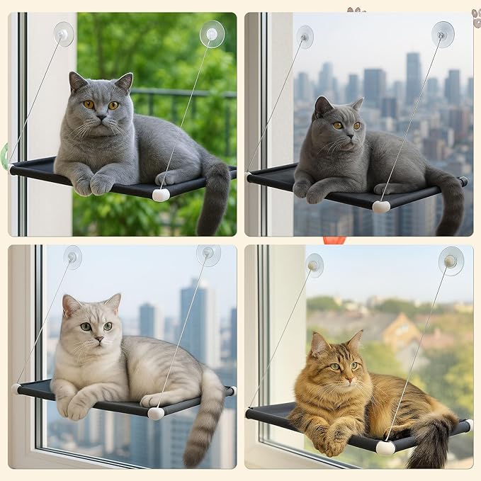 2 Pack Cat Window Perches, Easy Mounted Cat Hammock Window with 6 Strong Suction Cups, Black Mesh Fabric and Canvas Pads, Window cat Bed for Large Cats and Kittens, 38Lbs Load Capacity