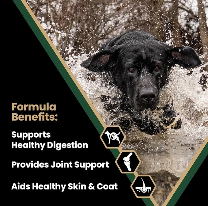 VICTOR Super Premium Dog Food  Performance Dry Dog Food  26% Protein for Active Adult Dogs  Includes Glucosamine and Chondroitin for Hip and Joint Health, 5lbs