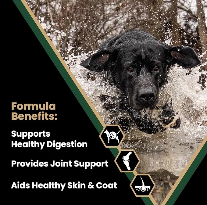 Victor Super Premium Dog Food  Performance Dry Dog Food  26% Protein for Active Adult Dogs  Includes Glucosamine and Chondroitin for Hip and Joint Health, 40lbs