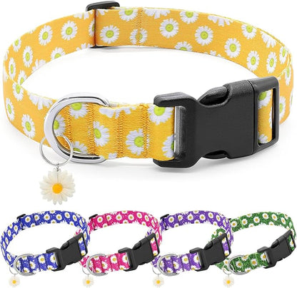 BiPawTi Floral Dog Collars for Medium Dog - Soft Cute Dog Collars for Girls Dog Pretty Flower Collar with Daisies Charms, Gift for Female Male Boys Girls Dogs (M, Yellow)