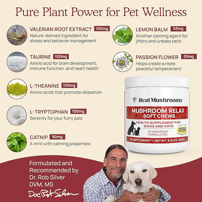 Calming Chews for Dogs & Cats – Soft Chews with Reishi & Lion’s Mane for Daily Composure – for All Breeds & Sizes – Calming Treats for Dogs: 1 Chew/20 lb Daily; Cats: ¼ Chew Twice Daily – 60 Count