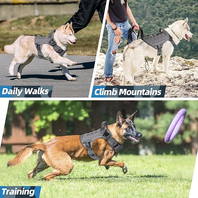 WINGOIN Grey Tactical Dog Harness Vest for Small Dogs No Pull Adjustable Reflective K9 Military Dog Service Dog Harnesses with Handle, Hook & Loop Panels for Walking, Hiking, Training(S)