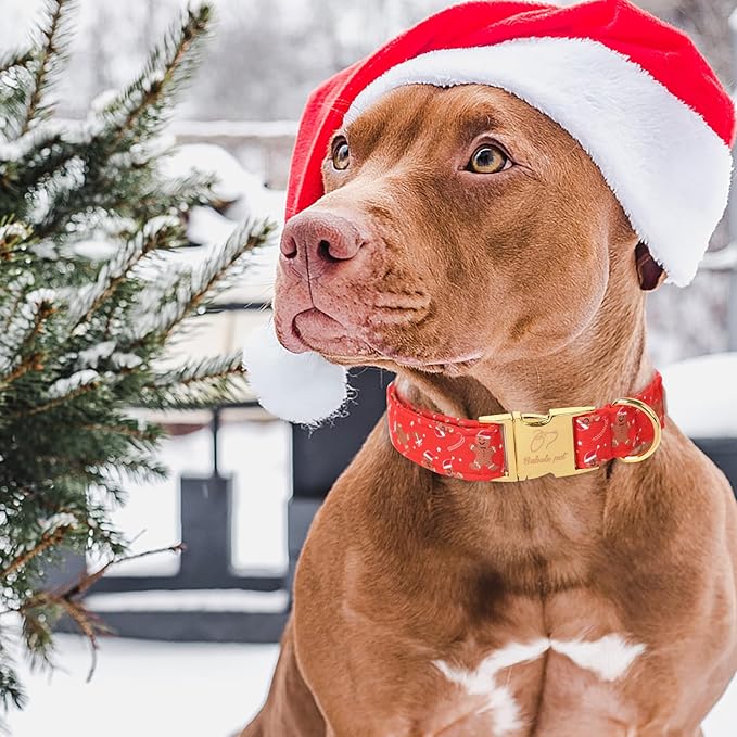 Christmas Dog Collars for Small Dog,Red Gingerbread Man Collar with Safety Metal Buckle Adjustable Puppy Collars for Medium Large Dog,Boy&Girl&Male&Female Dog Gift,S-10-16"